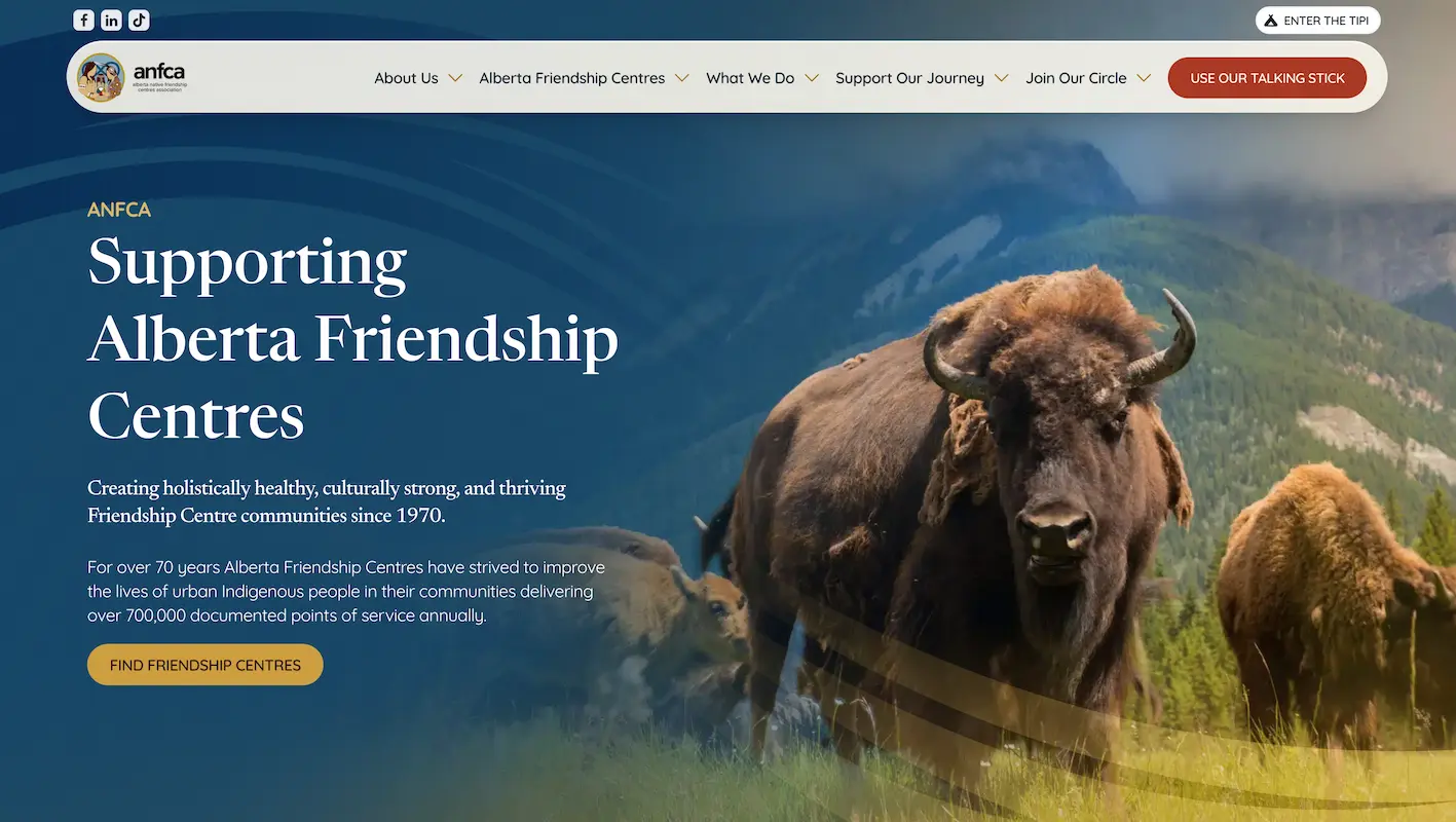 ANFCA website thumbnail.